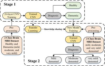 Enhancing Alzheimer’s disease diagnosis and staging: a multistage CNN framework using MRI